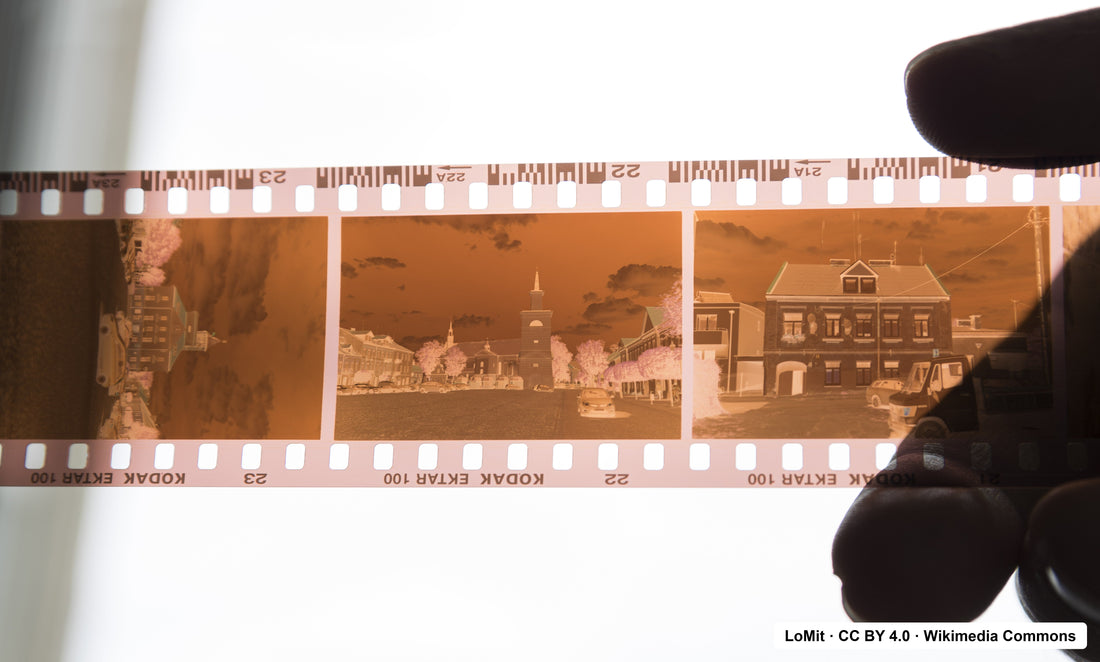 Entwickelter 35mm-Farbnegativstreifen gegen das Licht gehalten