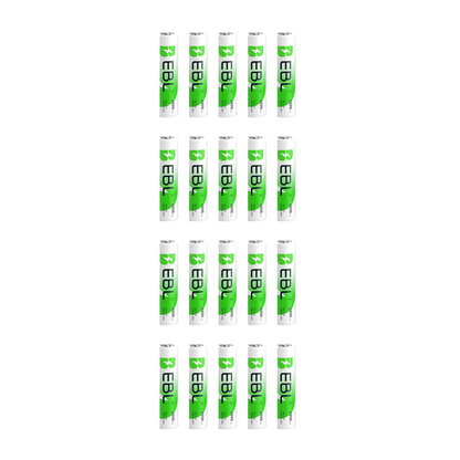 20er Pack EBL AA NiMH Akku 2800mAh