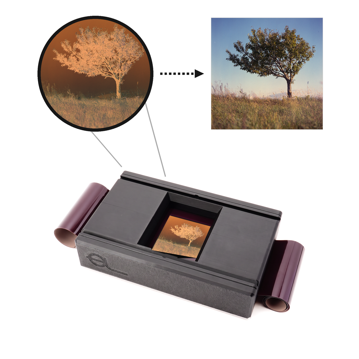Film Scanner Set für 120: Negativ unter der Lupe, daneben der Scan eines einzelnen Baums auf einer Wiese